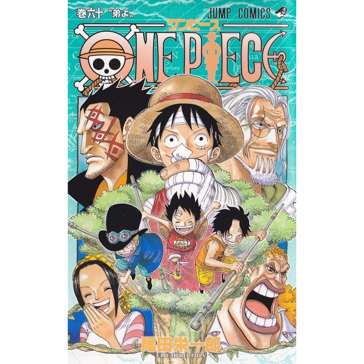 One Piece  Saiba como editora francesa driblou direitos autorais com  mega edição