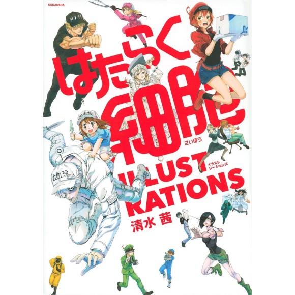 KIMETSU NO YAIBA Anime Illustrations Ni - Edição Japonesa アニメ