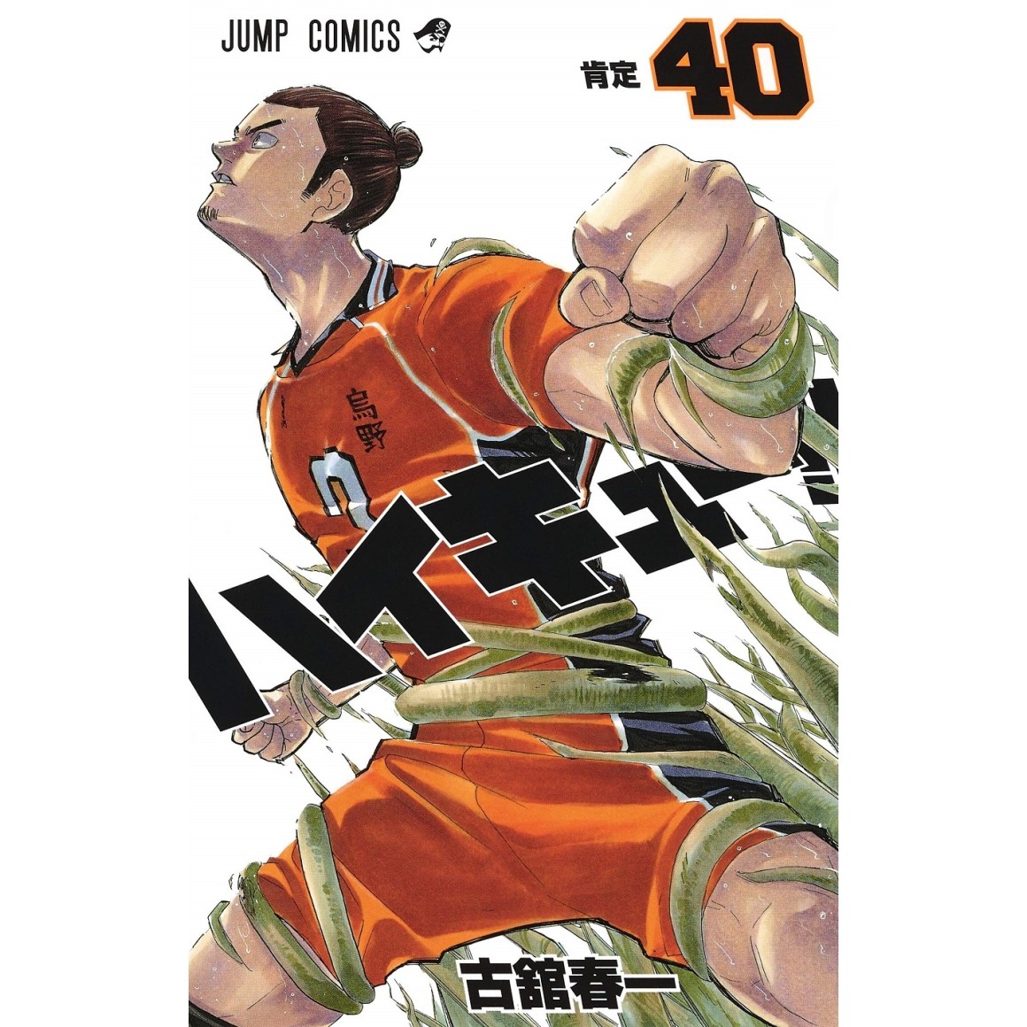 HAIKYUU!! vol. 4 - Edição Japonesa